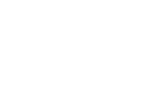 Tranvial Logo